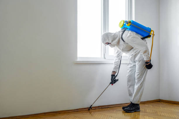 Best Best Pest Control Companies  in Los Molinos, CA
