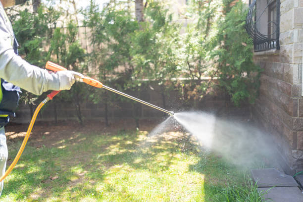 Best Residential Pest Control  in Los Molinos, CA