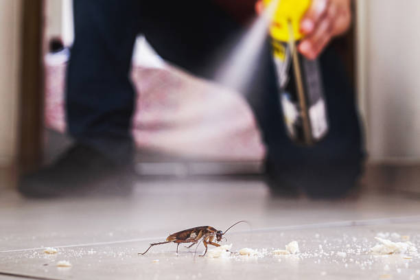 Best Best Pest Control Companies  in Los Molinos, CA