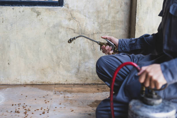 Best Commercial Pest Control Services  in Los Molinos, CA